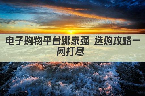 电子购物平台哪家强 选购攻略一网打尽 