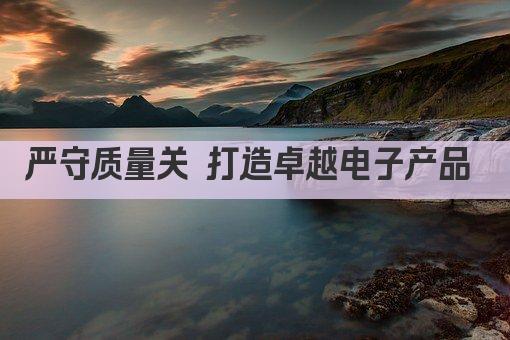严守质量关 打造卓越电子产品 