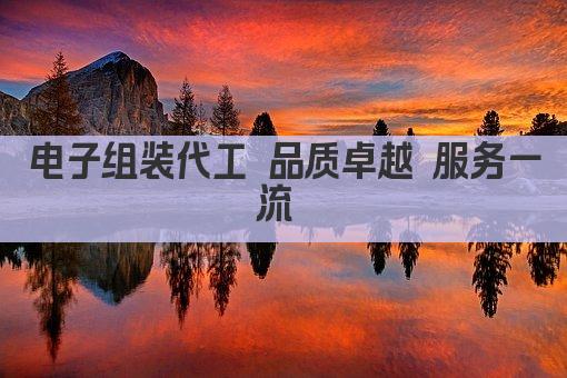 电子组装代工 品质卓越 服务一流 