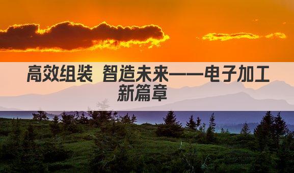 高效组装 打造智能电子精品