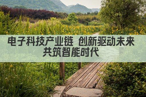 电子科技产业链 创新驱动未来 共筑智能时代 