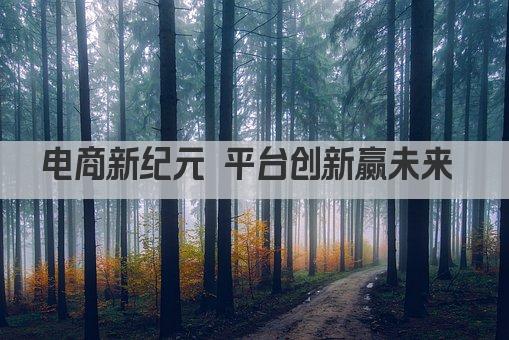 电商新纪元 平台创新赢未来 