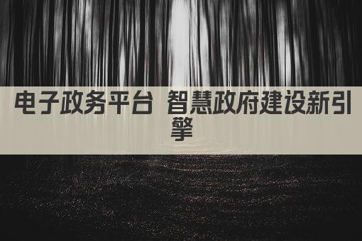 电子政务平台 智慧政府建设新引擎
