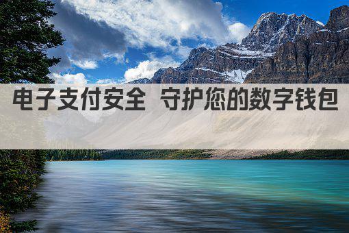 电子支付安全 守护您的数字钱包 