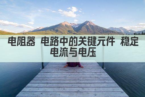 电阻器 电子世界的基石 稳定电流的守护者