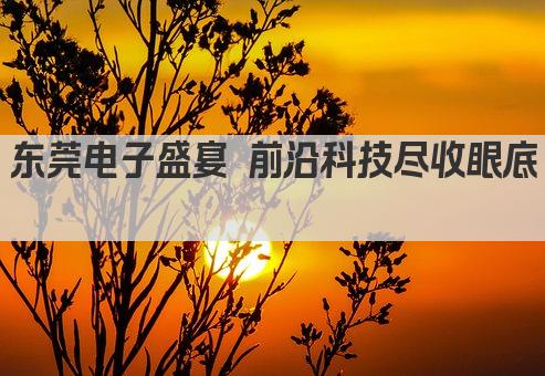 东莞电子盛宴 前沿科技尽收眼底 
