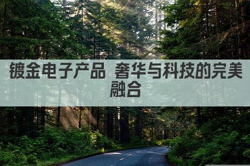 镀金电子产品 奢华与科技的完美融合
