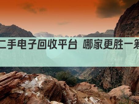 二手电子回收平台 哪家更胜一筹 