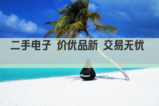 二手电子 价优品新 交易无忧  