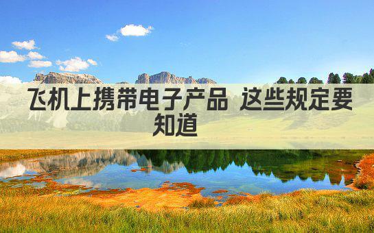飞机上携带电子产品攻略 安全使用指南