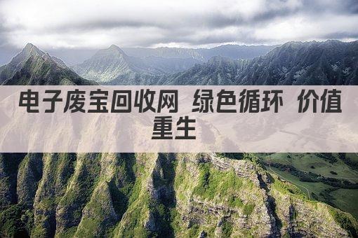 电子废宝回收网 绿色循环 变废为宝 