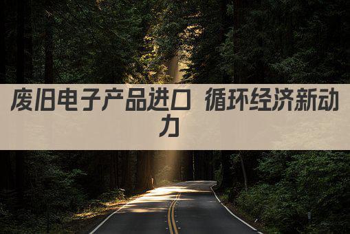废旧电子产品进口 循环经济新动力 