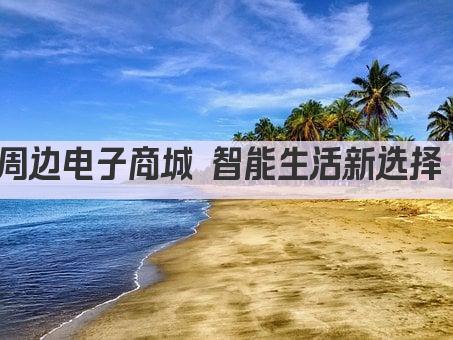 周边电子商城 智能生活新选择 