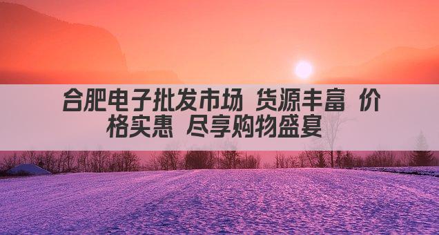 合肥电子批发市场 货源丰富 价格实惠 尽享购物盛宴 