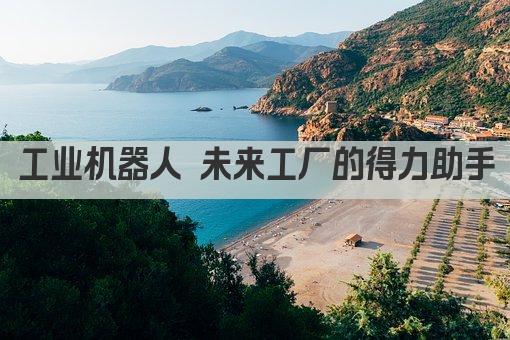 工业机器人 未来工厂的得力助手