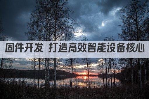固件开发 打造高效智能设备核心