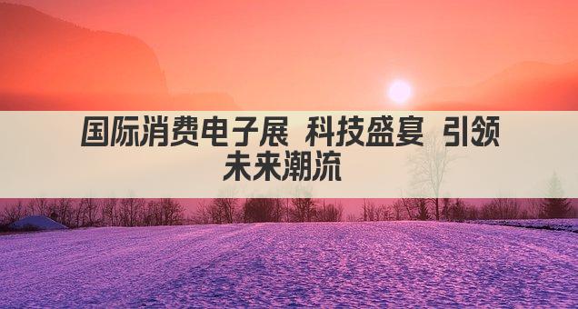 国际消费电子展 科技盛宴 引领未来潮流 