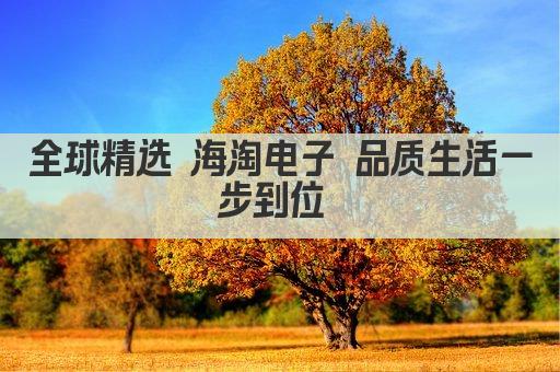 全球精选 海淘电子 品质生活一步到位 