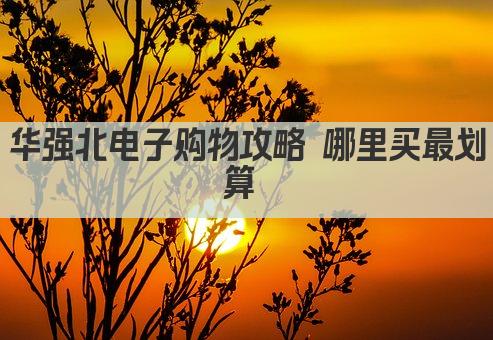 华强北电子购物攻略 哪里买最划算 