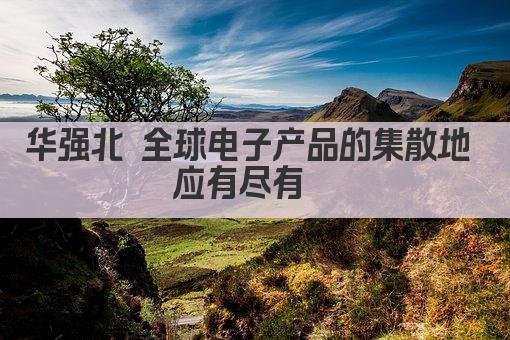 华强北 全球电子产品的集散地 应有尽有  