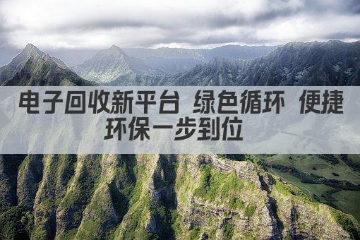 电子回收新平台 绿色循环 便捷环保一步到位 