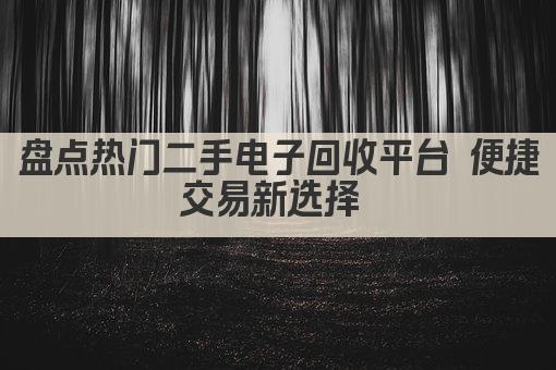 盘点热门二手电子回收平台 便捷交易新选择 