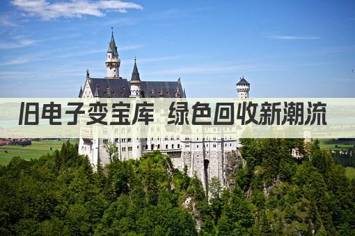 旧电子变宝库 绿色回收新潮流 