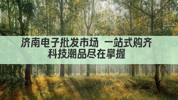 济南电子批发市场 一站式购齐 科技潮品尽在掌握 