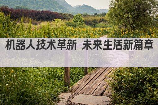 机器人技术革新 未来生活新篇章 
