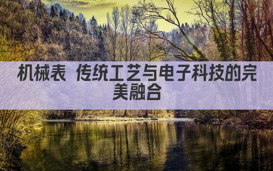 机械表 传统工艺与现代电子技术的完美融合
