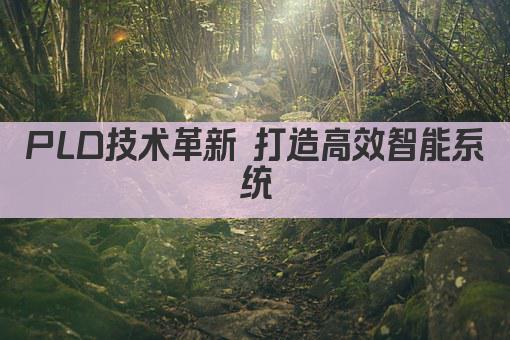 PLD技术革新 打造高效智能系统