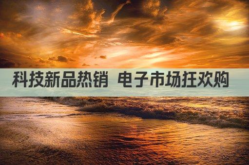 科技新品热销 电子市场狂欢购 