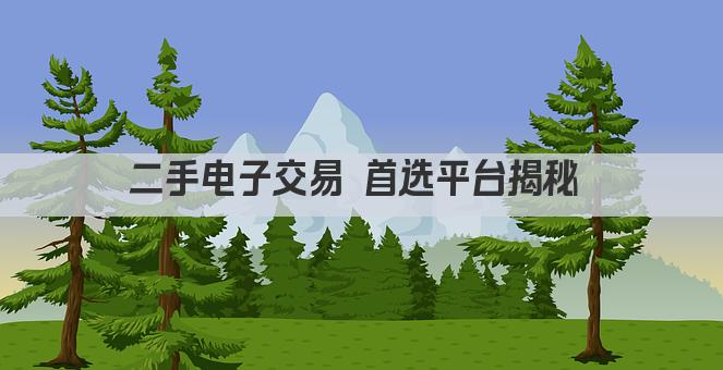 二手电子交易 选哪个平台最靠谱 