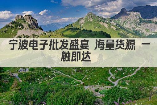 宁波电子批发盛宴 海量货源 一触即达 