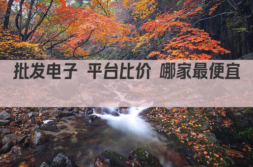 批发电子 平台比价 哪家最便宜 