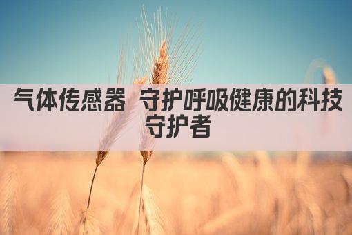气体传感器 守护呼吸健康的科技守护者