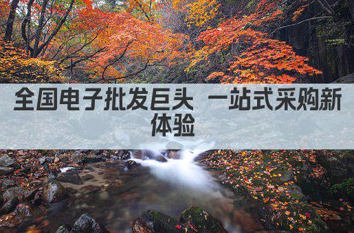 全国最大电子批发市场 一站式采购新体验 