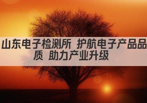 山东电子检测所 护航电子产品品质 助力产业升级 