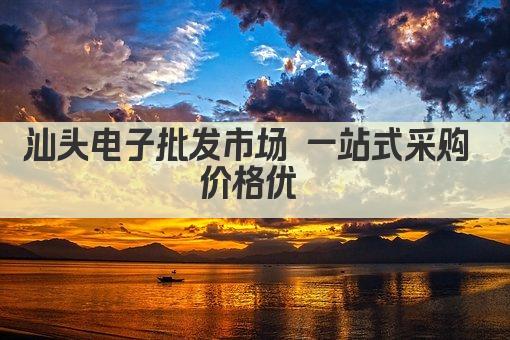 汕头电子批发市场 一站式购齐 价格优 