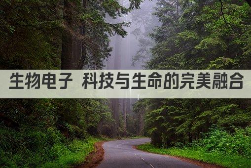 生物电子 科技与生命的完美融合