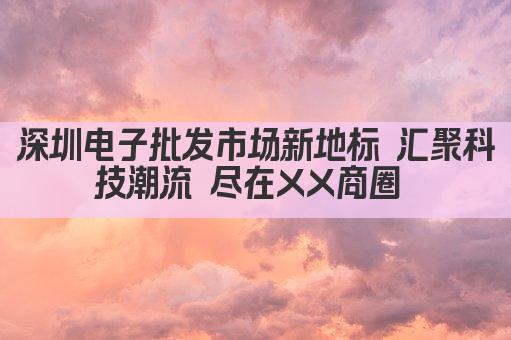深圳电子批发市场新地标 汇聚科技潮流 尽在XX商圈 
