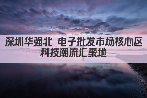 深圳华强北 电子批发市场繁华地带 