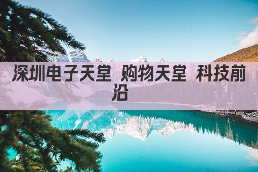 深圳电子市场 科技潮品汇聚 购物天堂一网打尽 