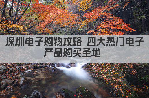 深圳电子购物攻略 四大热门电子产品购买圣地 
