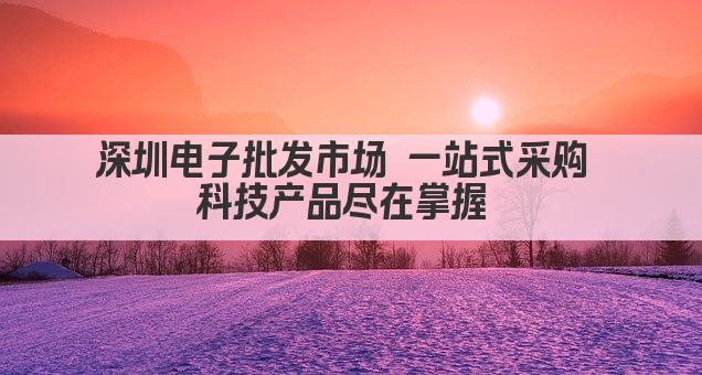 深圳电子批发市场 一站式采购 科技产品尽在掌握 
