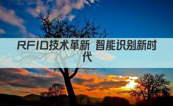 RFID技术革新 智能识别新时代