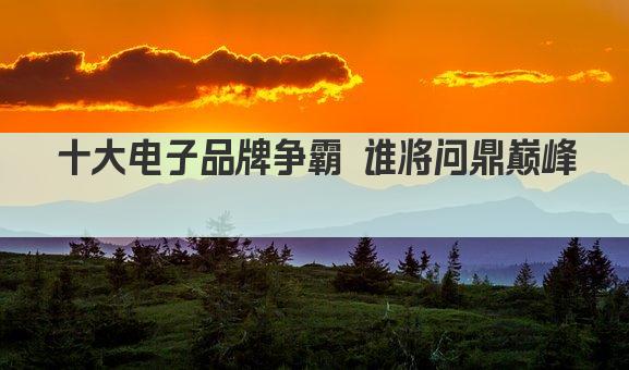 十大电子品牌争霸 谁将问鼎巅峰 