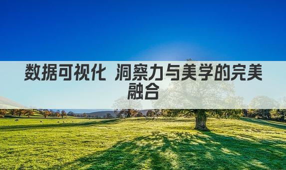 数据可视化 洞察力与美学的完美融合