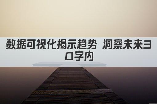 数据可视化揭示趋势 洞察未来30字内