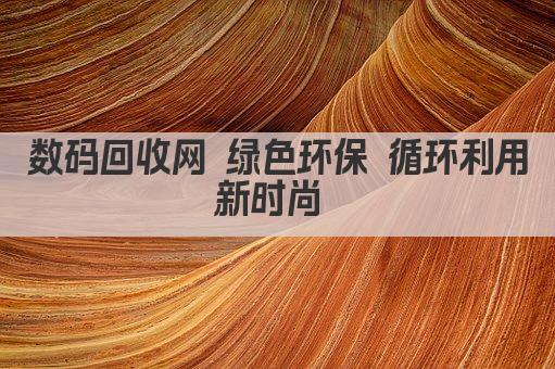 数码回收网 绿色环保 循环利用新时尚 